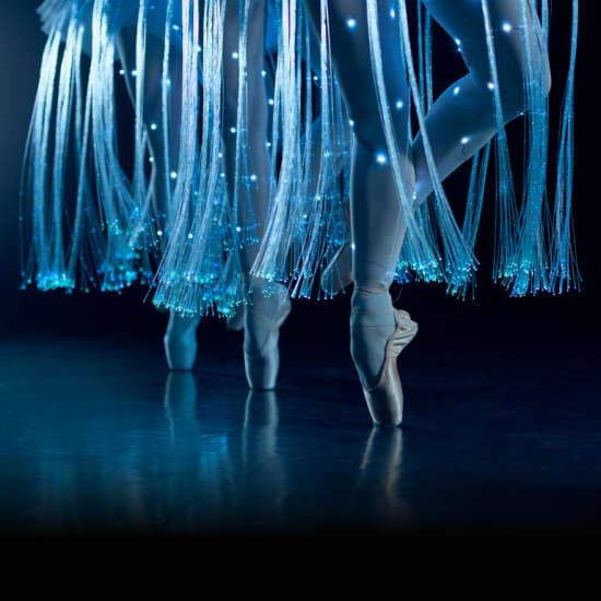 Ballet of lights: La Bella Addormentata in un affascinante spettacolo di luci